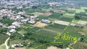 2 mặt tiền với 1875 m2 chợ Hợp 5, Hàm Đức, gần QL 1A . GIÁ RẺ !